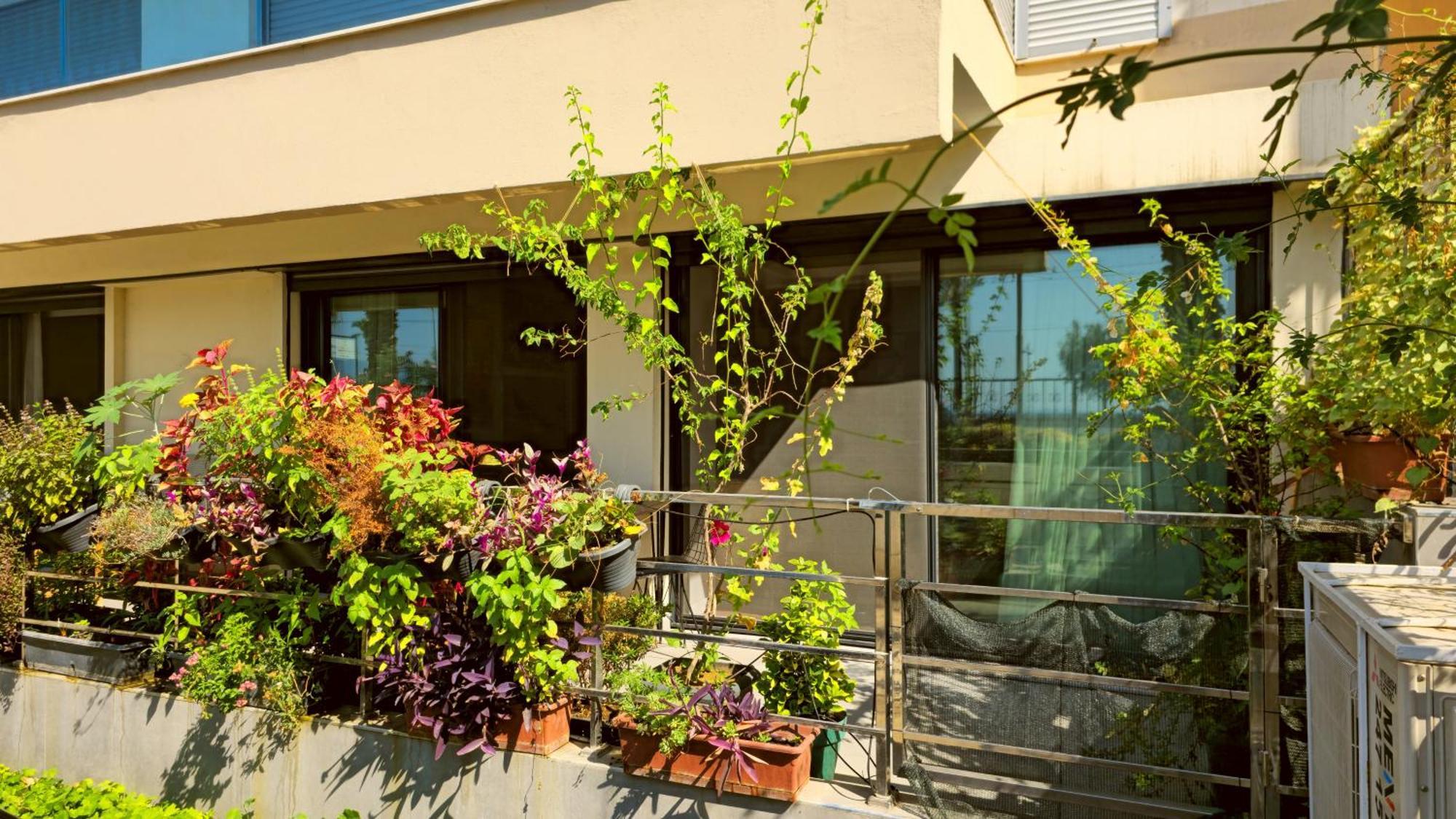 Elegant & Cozy Retreat Home, Center Gem By The Seaside, Steps From The Tram