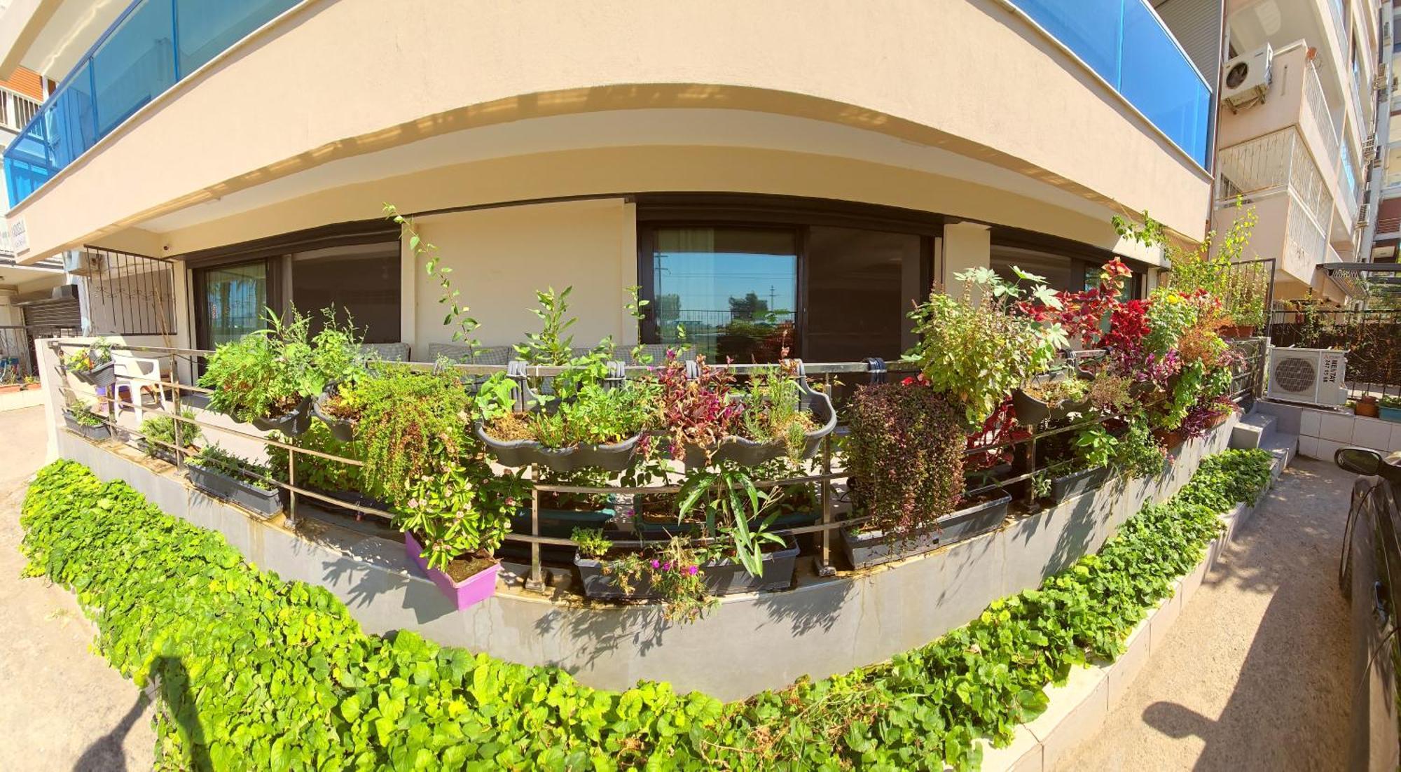 Apartment Elegant & Cozy Retreat Home, Center Gem By The Seaside, Steps From The Tram